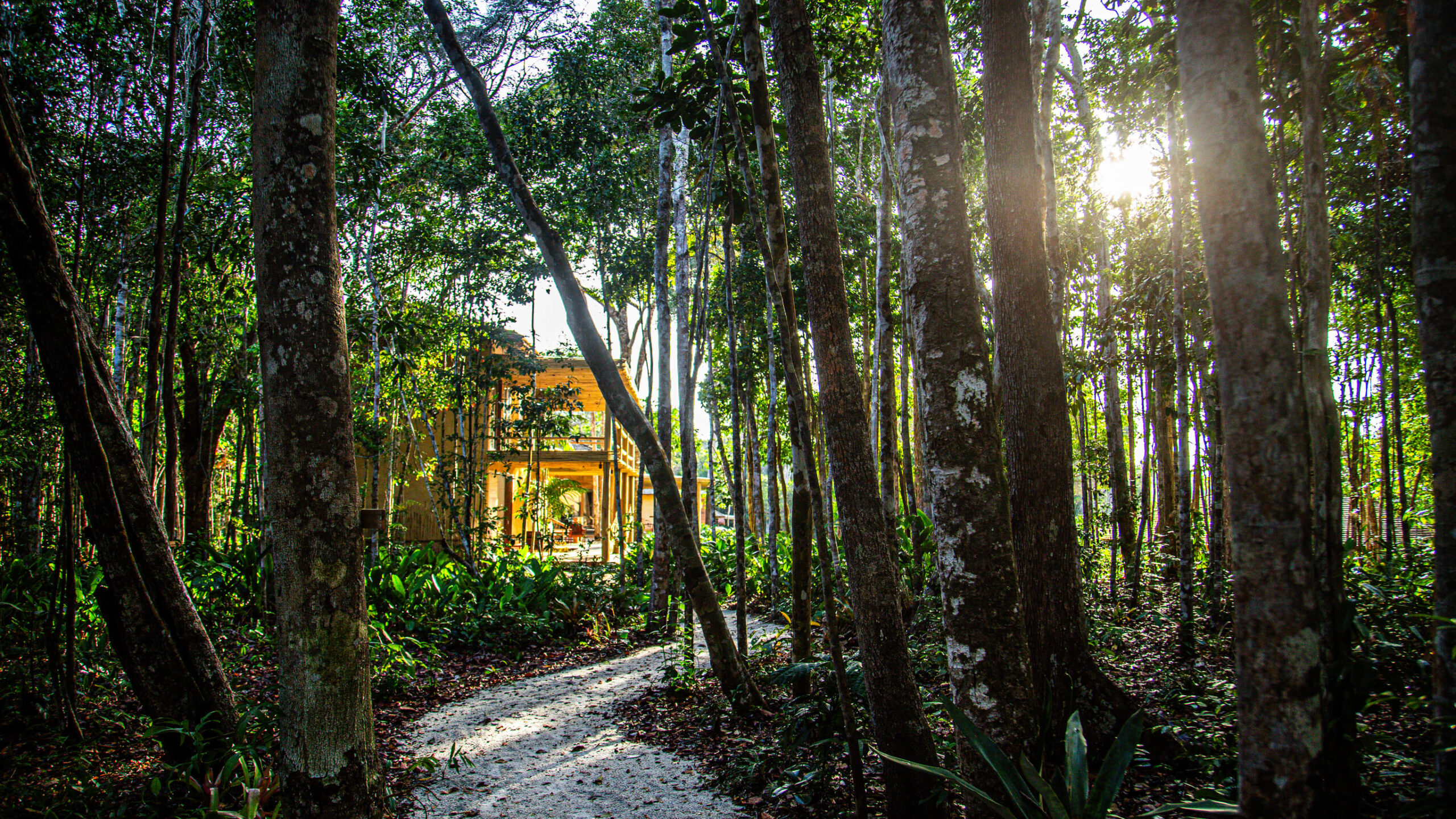 Aluguel casa de luxoTrancoso, Villa 70