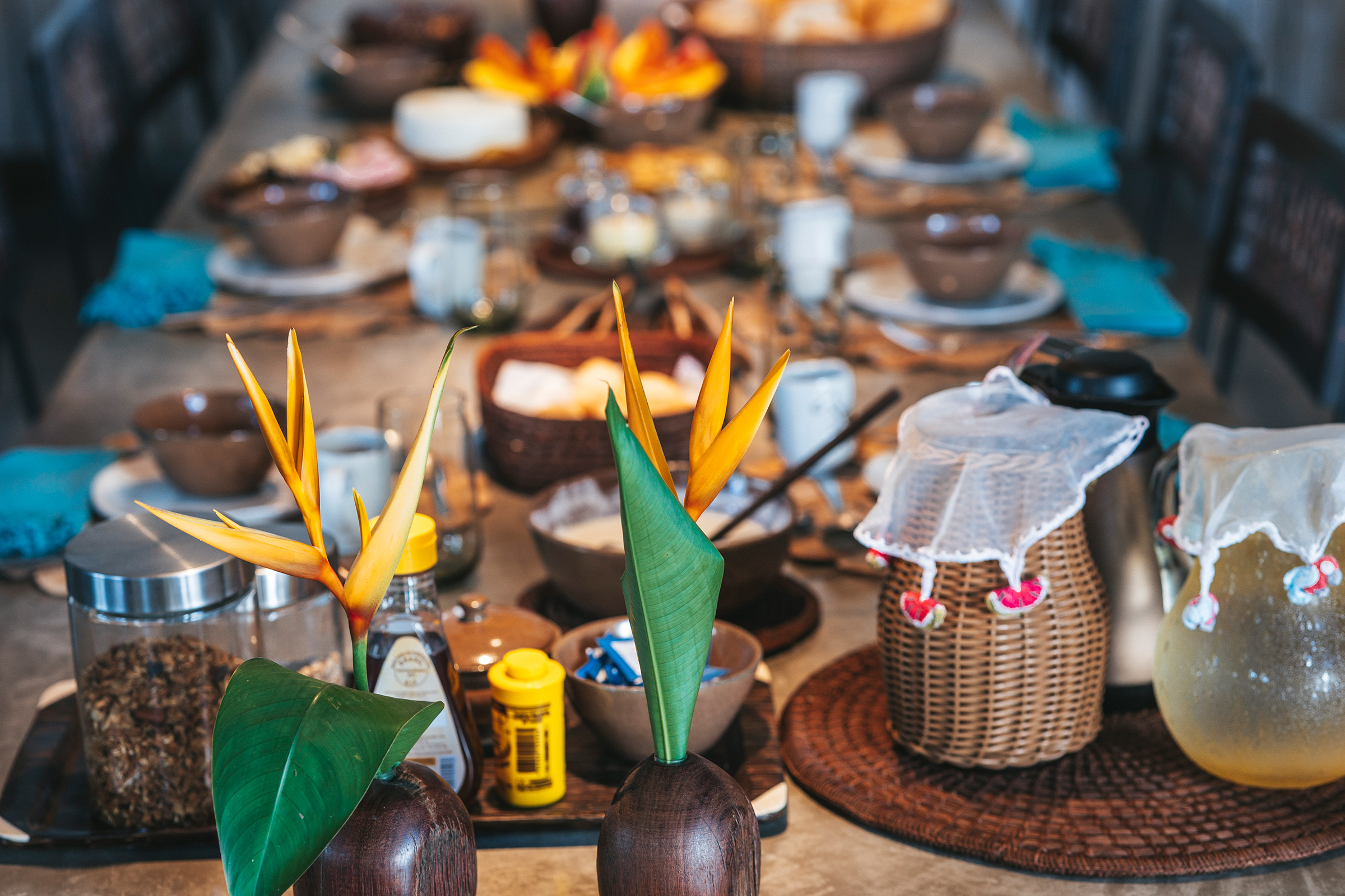 Aluguel casa de luxoTrancoso Villa 52